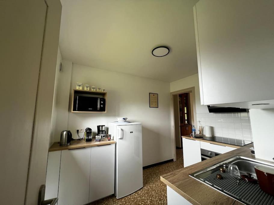 Appartement Dans Chalet - 75 M2 - 4 A 6 Personnes Saint-Gervais-les-Bains Ngoại thất bức ảnh