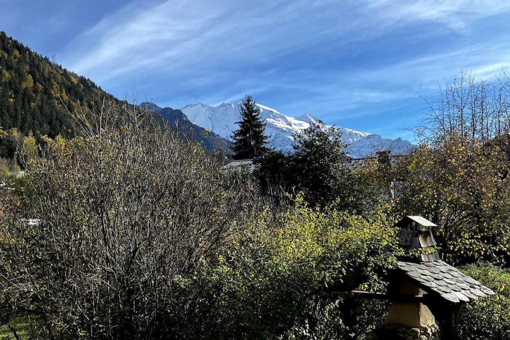Appartement Dans Chalet - 75 M2 - 4 A 6 Personnes Saint-Gervais-les-Bains Ngoại thất bức ảnh